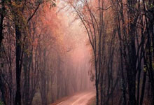 米乐M6:世界第二斯瓦泰克回应药检阳性:我没做错什么中新体坛.