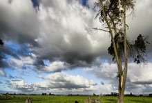 米乐M6:英超:切尔西战平阿申纳 曼联3比0完胜莱斯特.