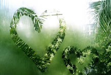 法国名宿维埃拉执教意甲保级球队热那亚.