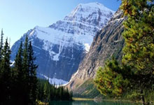 官方:费迪南德的儿子离开布莱顿加盟英格兰第七级别球队.