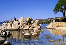 米乐M6:NBA全明星完整阵容出炉 哈登归来火箭新星入围.